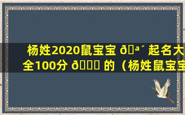 杨姓2020鼠宝宝 🪴 起名大全100分 🐋 的（杨姓鼠宝宝取名大全2021款）